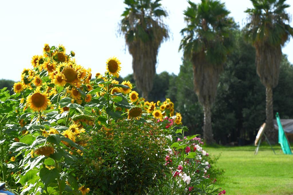 Resort Sciabache Zambrone Buitenkant foto